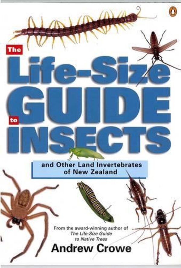 Life-Size Guide to Insects and Other Land Invertebrates of New Zealand
