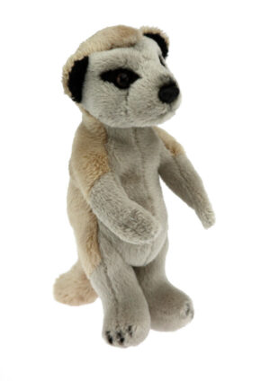 Wild Mini Meerkat