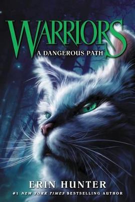 Warriors v5: A Dangerous Path