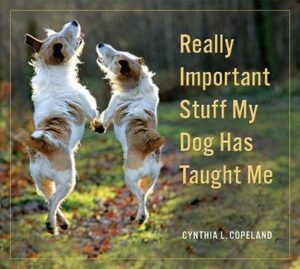Really Important Stuff My Dog Has Taught Me: Less Bark, More Wag