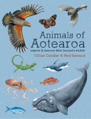 Animals of Aotearoa: Explore and discover New Zealand's wildlife