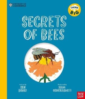 Think Big: Secrets of Bees