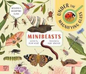 Minibeasts: Under the Magnifying Glass