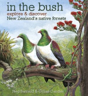 In the Bush: Explore and Discover New Zealand's Native Forests